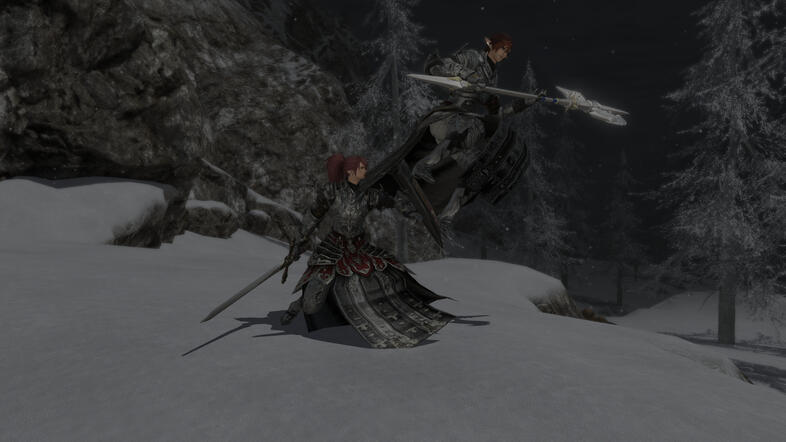 Siblings Shield Jump